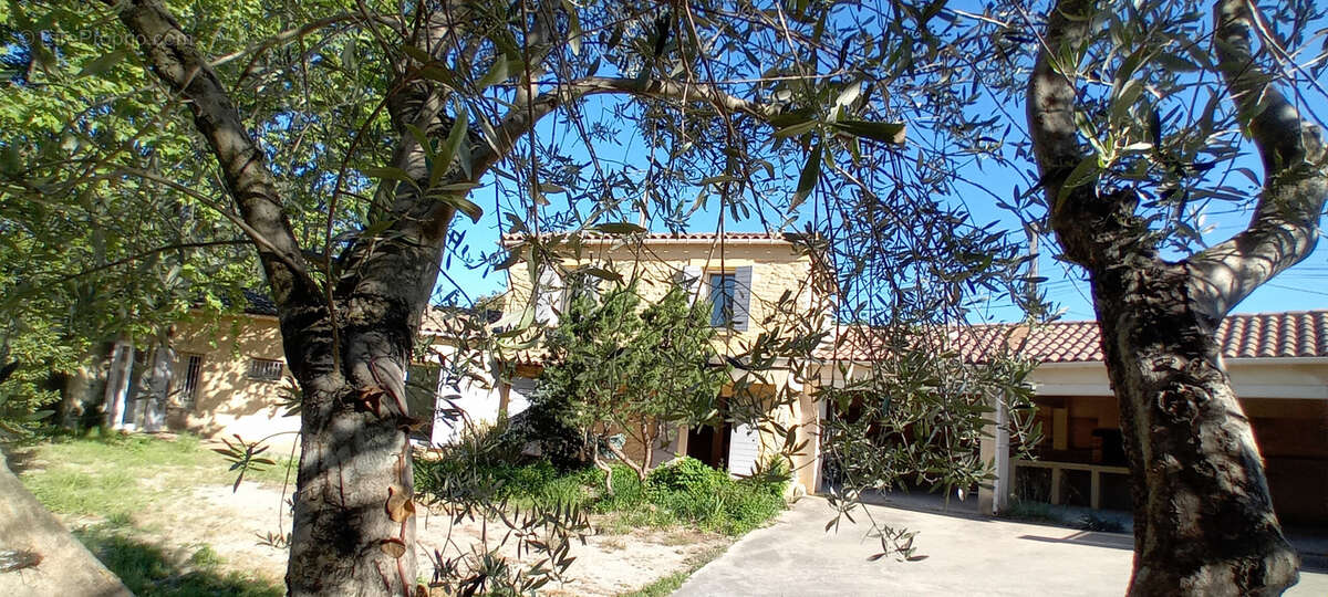 Maison à L'ISLE-SUR-LA-SORGUE