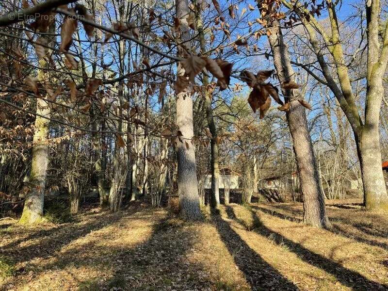 Terrain à NIEDERBRONN-LES-BAINS