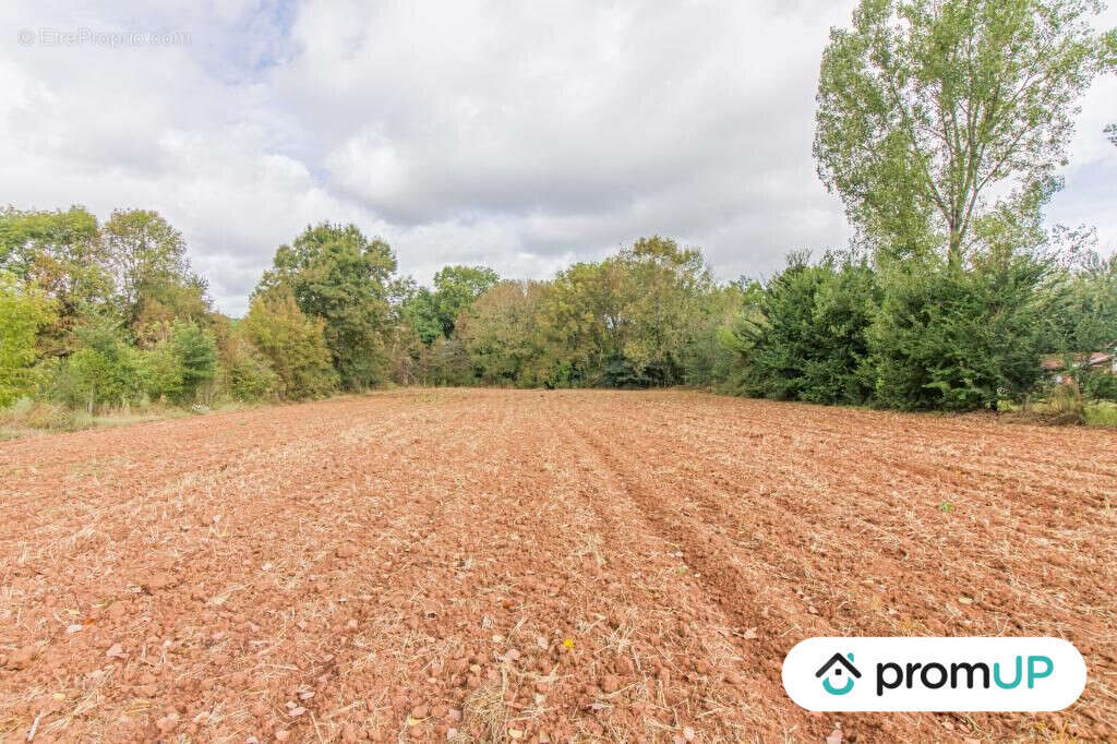 Terrain à CHERVEIX-CUBAS