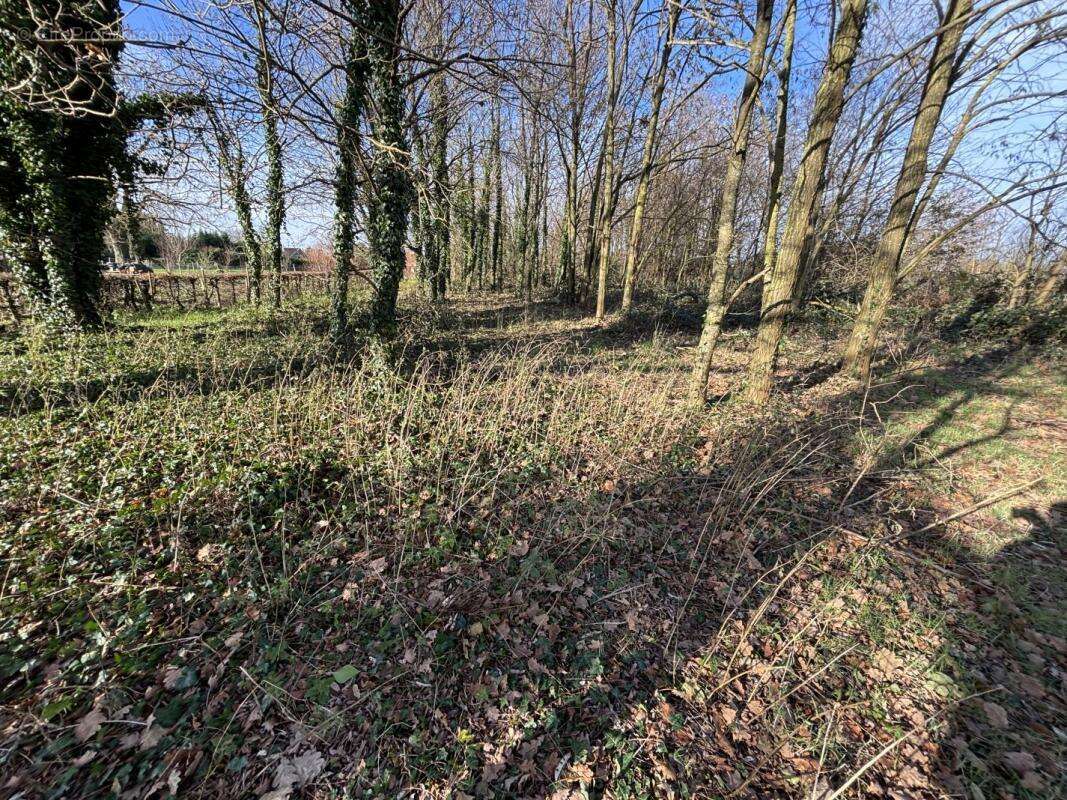 Terrain à REYSSOUZE