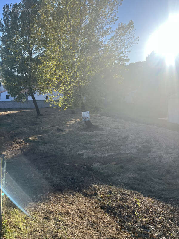 Terrain à LA TRANCHE-SUR-MER