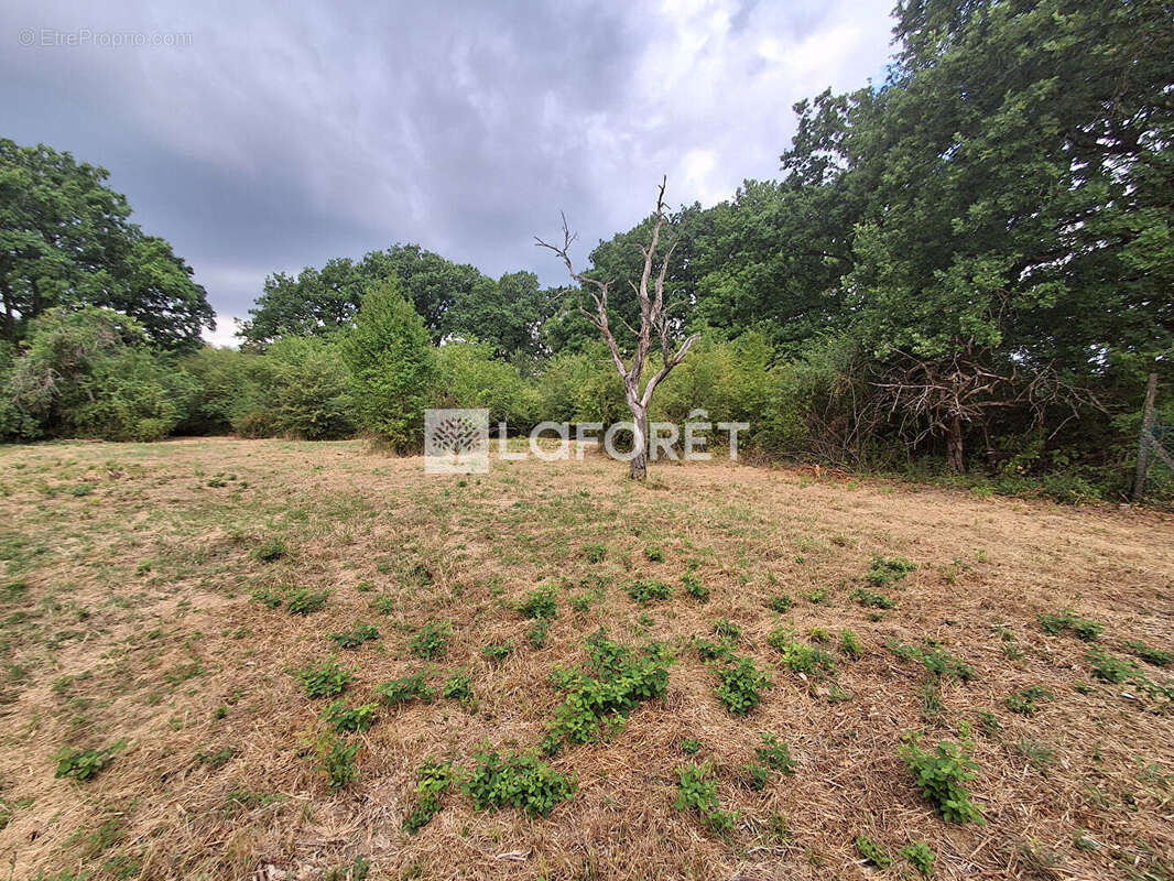 Terrain Manom 4203m2 - photo 7