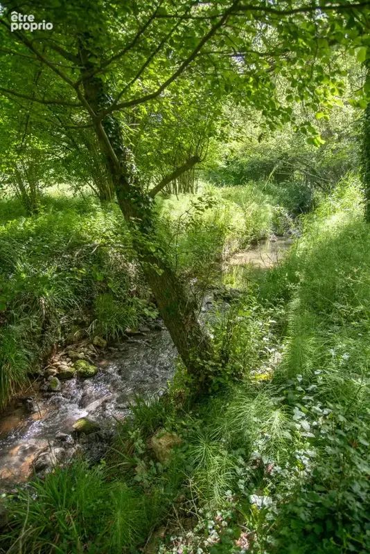 Domaine provençal dans la vallée de Cèze - photo 30