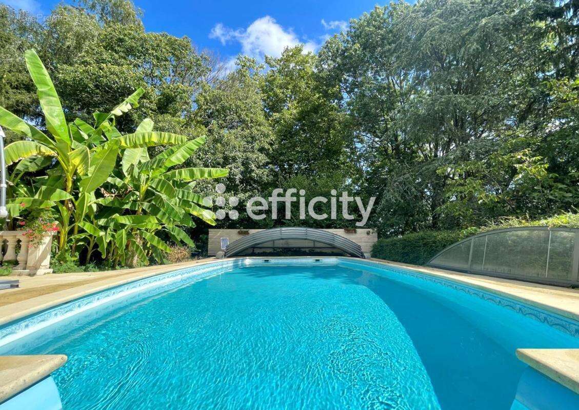 Maison 400 m² à Varennes-Vauzelles  - photo 31