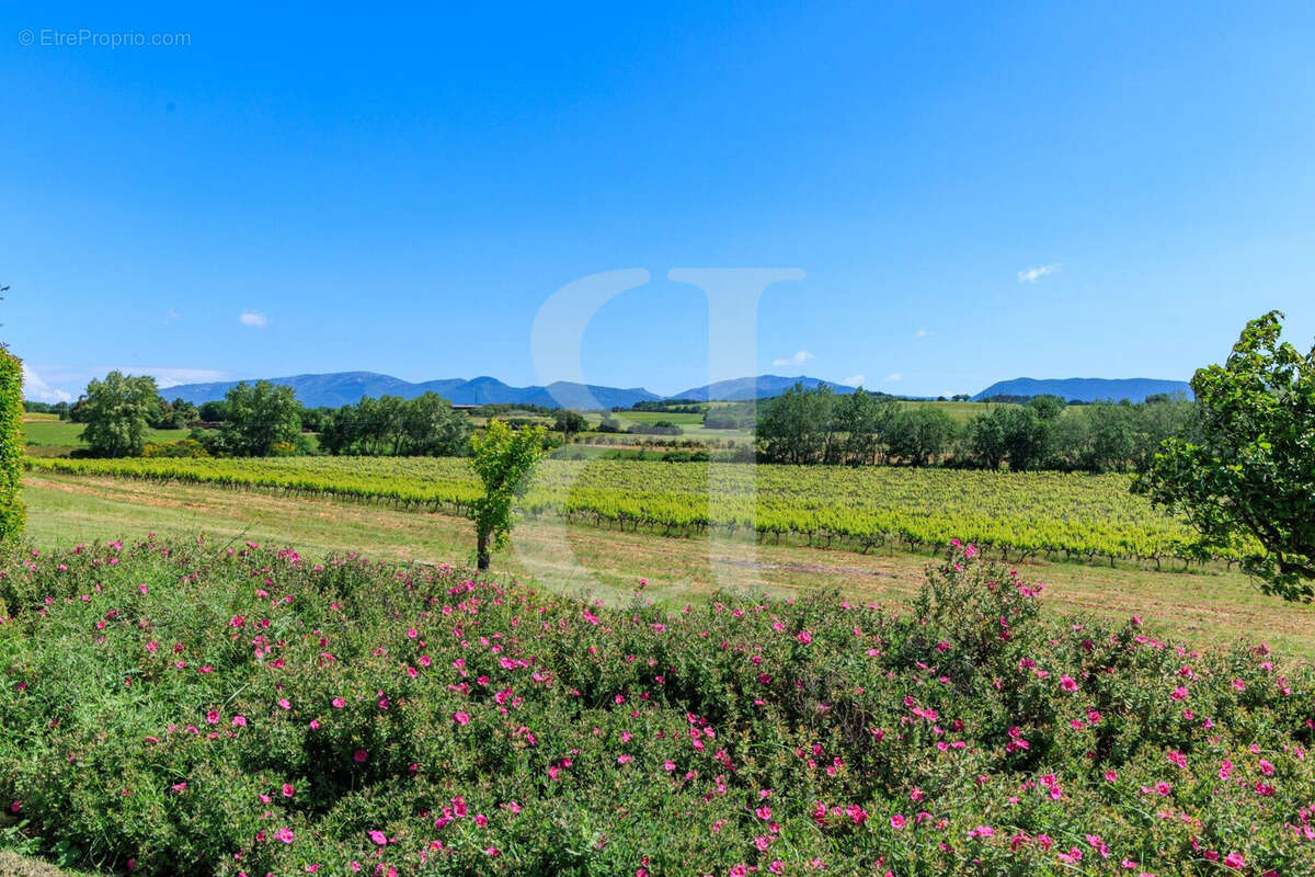 Maison à VAISON-LA-ROMAINE