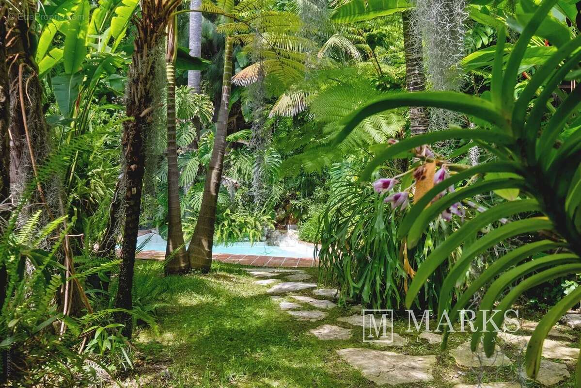 Magnifique propriété dans un jardin exotique - photo 19