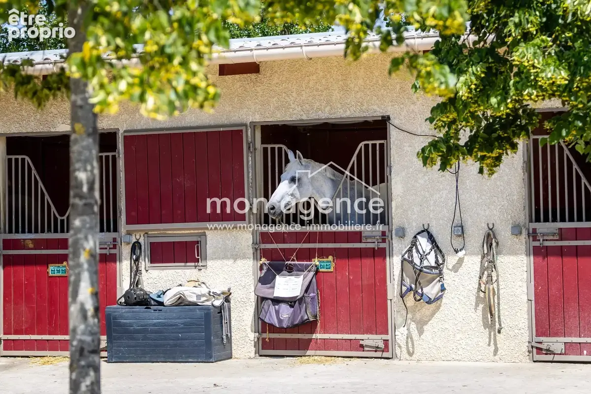 Propriété équestre d'exception - photo 2