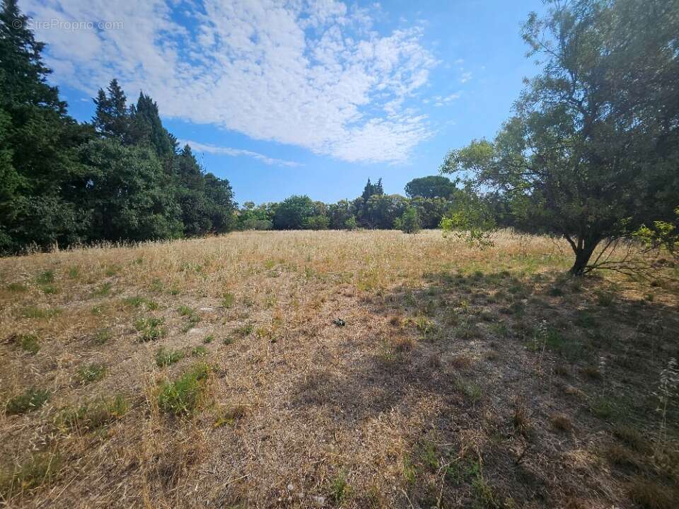 Terrain 356 m² à Fontvieille  - photo 5