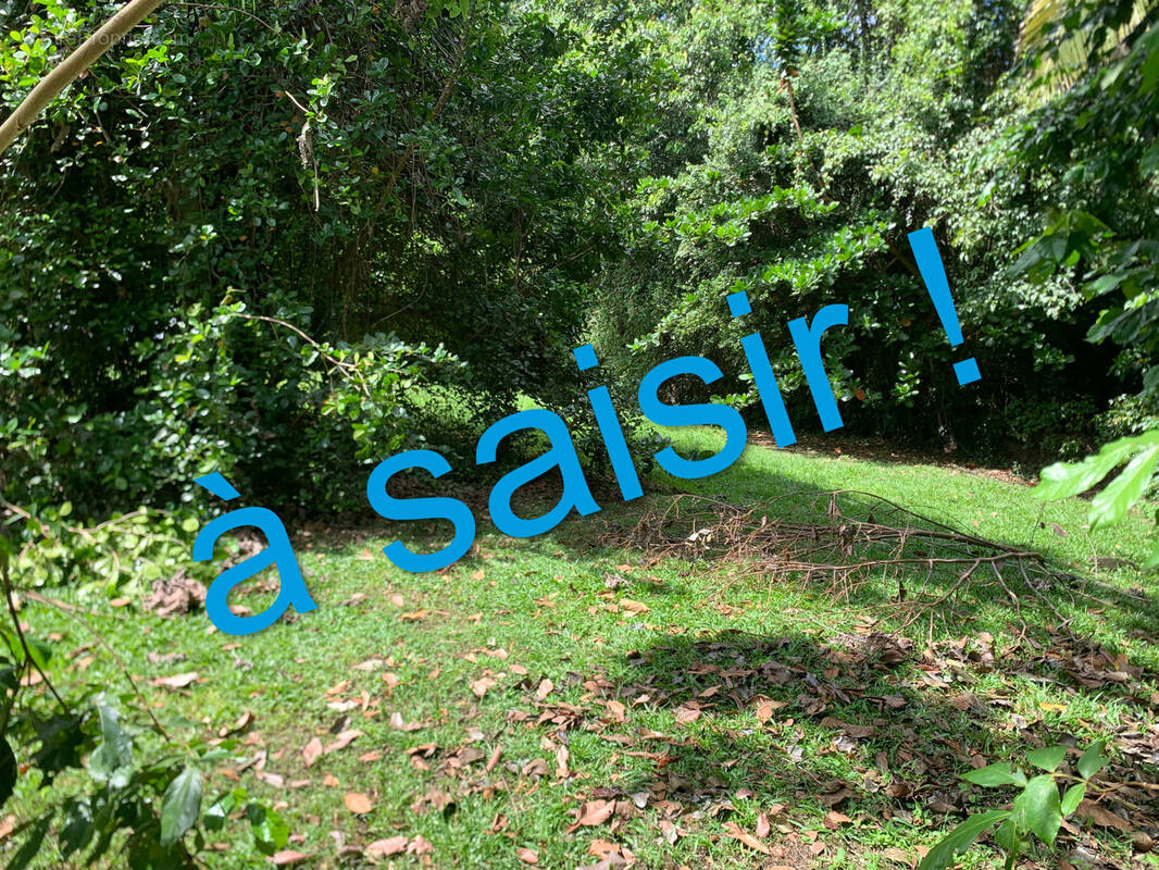 Terrain à LES TROIS-ILETS