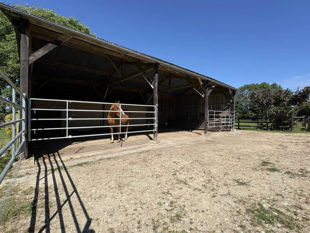 Propriete equestre à vendre proche haras du pin - photo 4