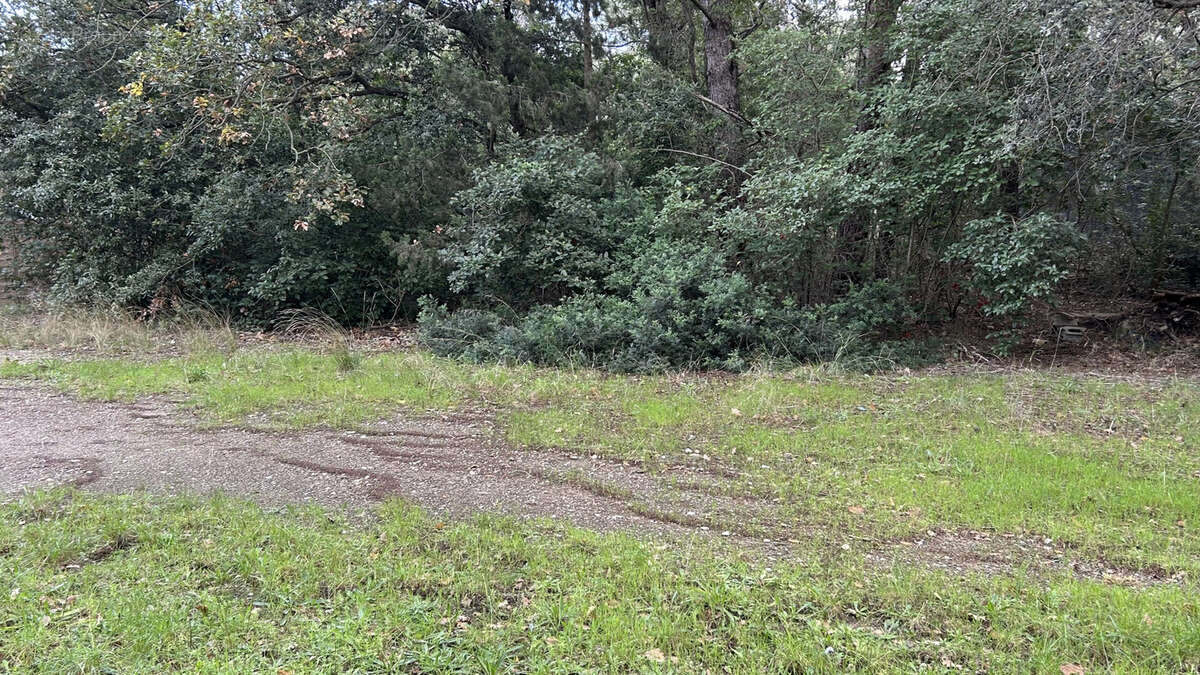 Maison à SIX-FOURS-LES-PLAGES