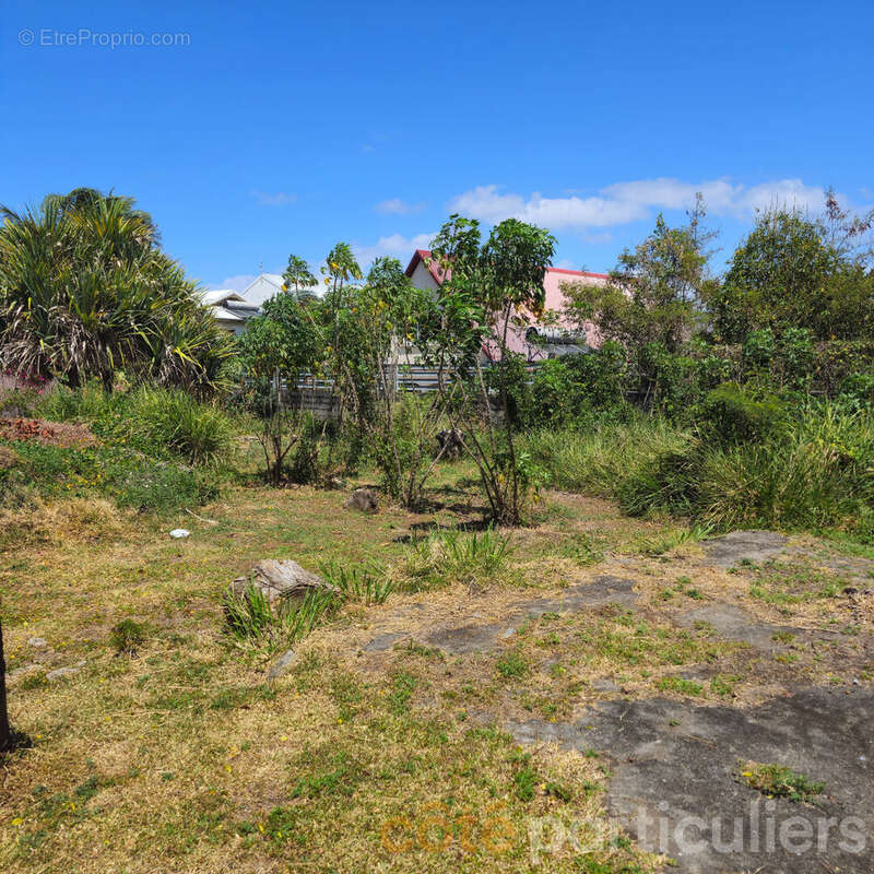 Terrain à SAINT-PIERRE
