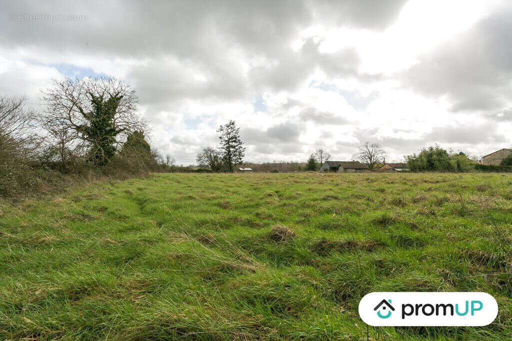 Terrain à VIEUX-RUFFEC