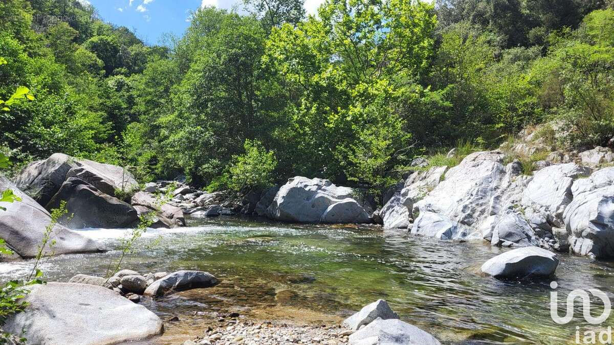 Photo 8 - Maison à SAINT-LAURENT-DE-CERDANS