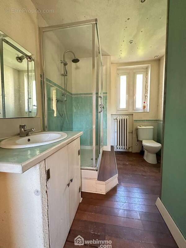 La salle de bains avec vasque sur meuble, une douche et un wc - Maison à CHERET