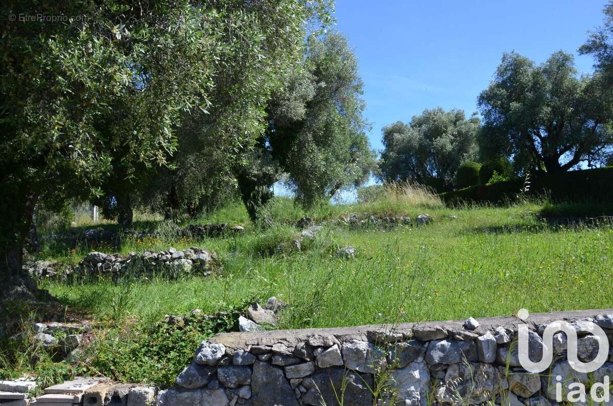 Photo 2 - Terrain à ROQUEFORT-LES-PINS