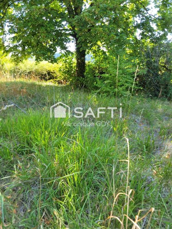 Photo 4 - Maison à CELLES