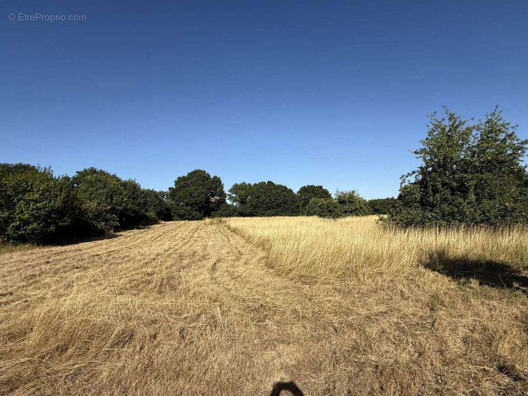 Maison à CONDE-SUR-HUISNE