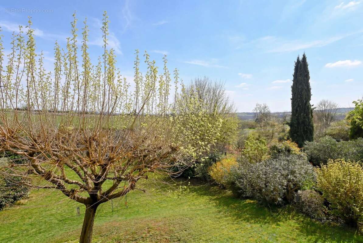 Maison à BELMONT-D'AZERGUES