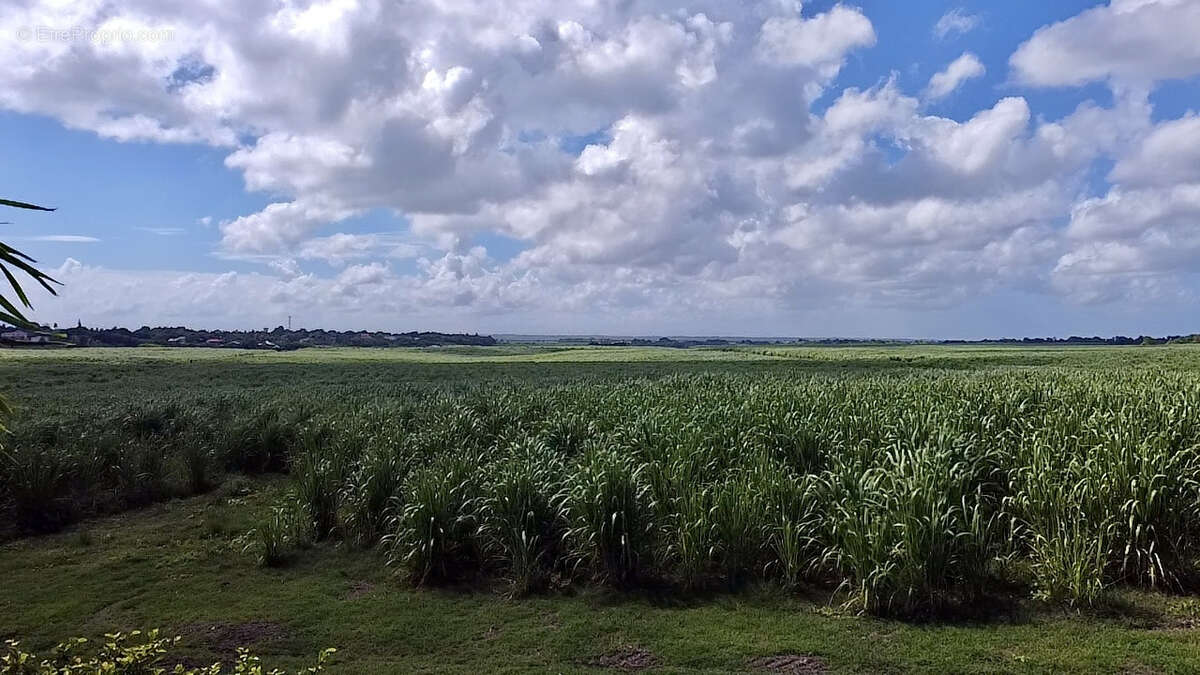 Maison à SAINT-FRANCOIS