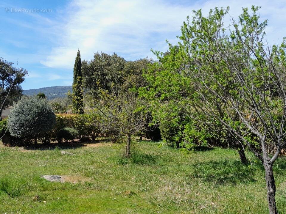 Terrain à GAREOULT