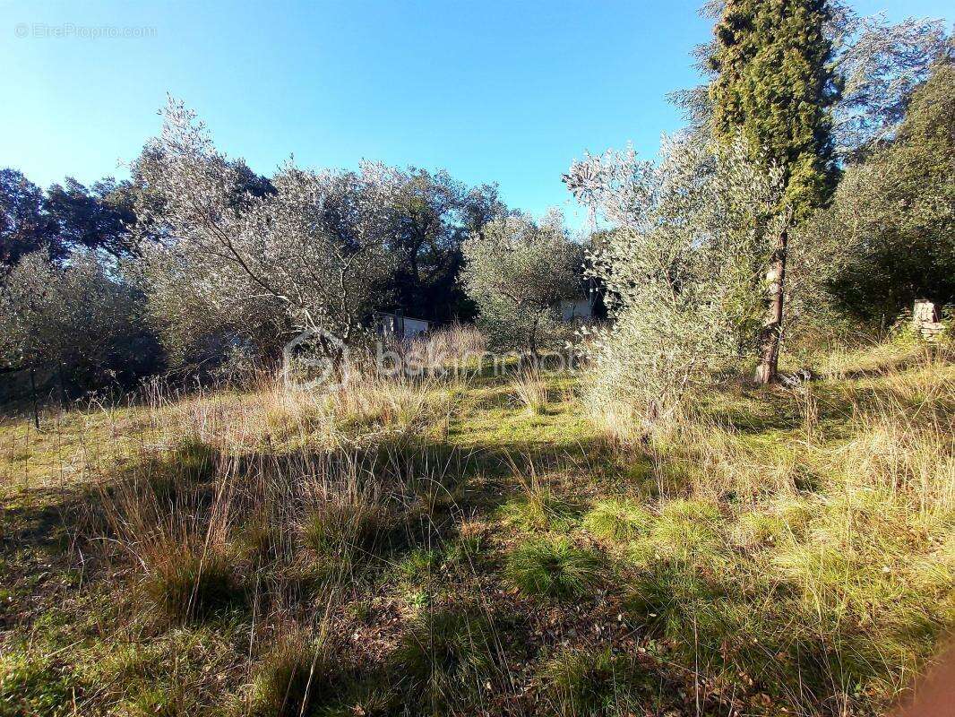 Terrain à SOMMIERES