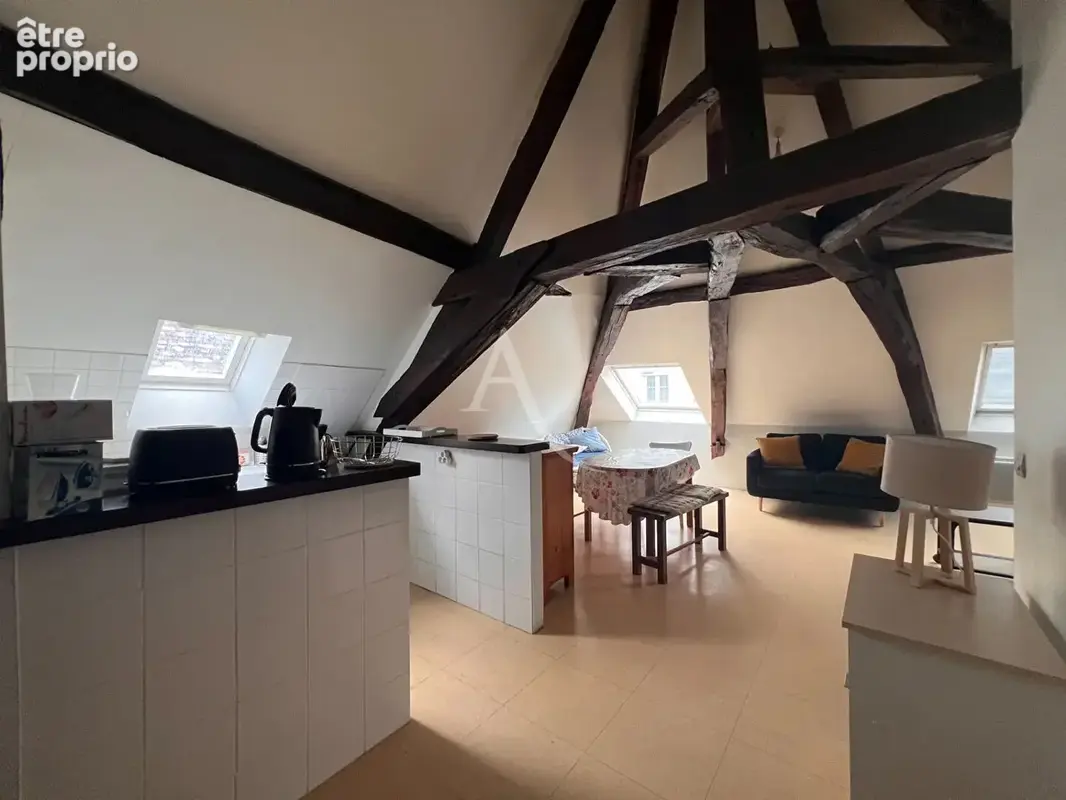 Appartement Montrichard Val De Cher 2 pièce(s) 29.36 m2 - photo 2