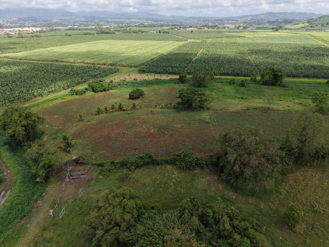 Terrain à LE LAMENTIN