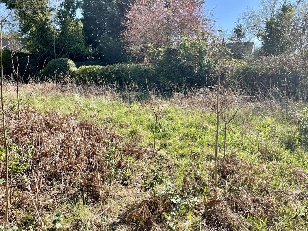 Terrain à LARMOR-BADEN