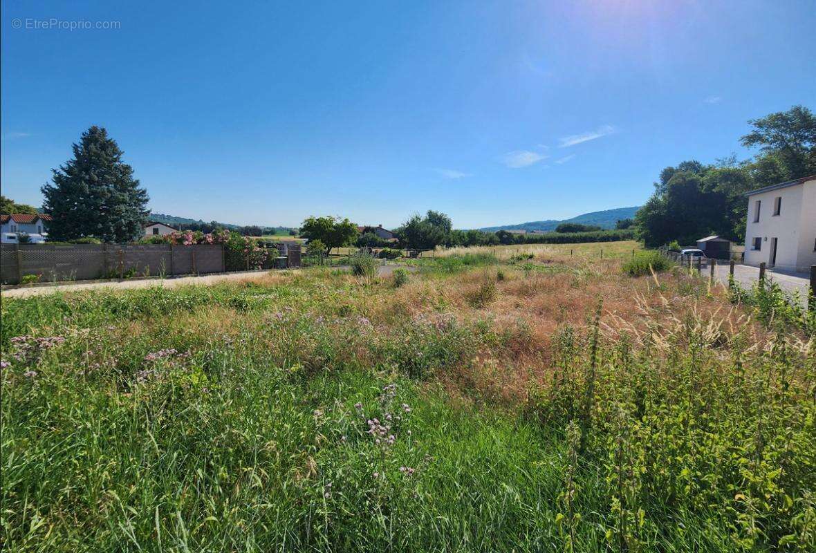 Terrain Maison Communay - photo 3