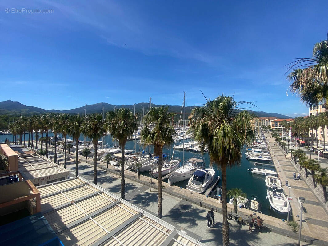 Photo 1 - Appartement à ARGELES-SUR-MER