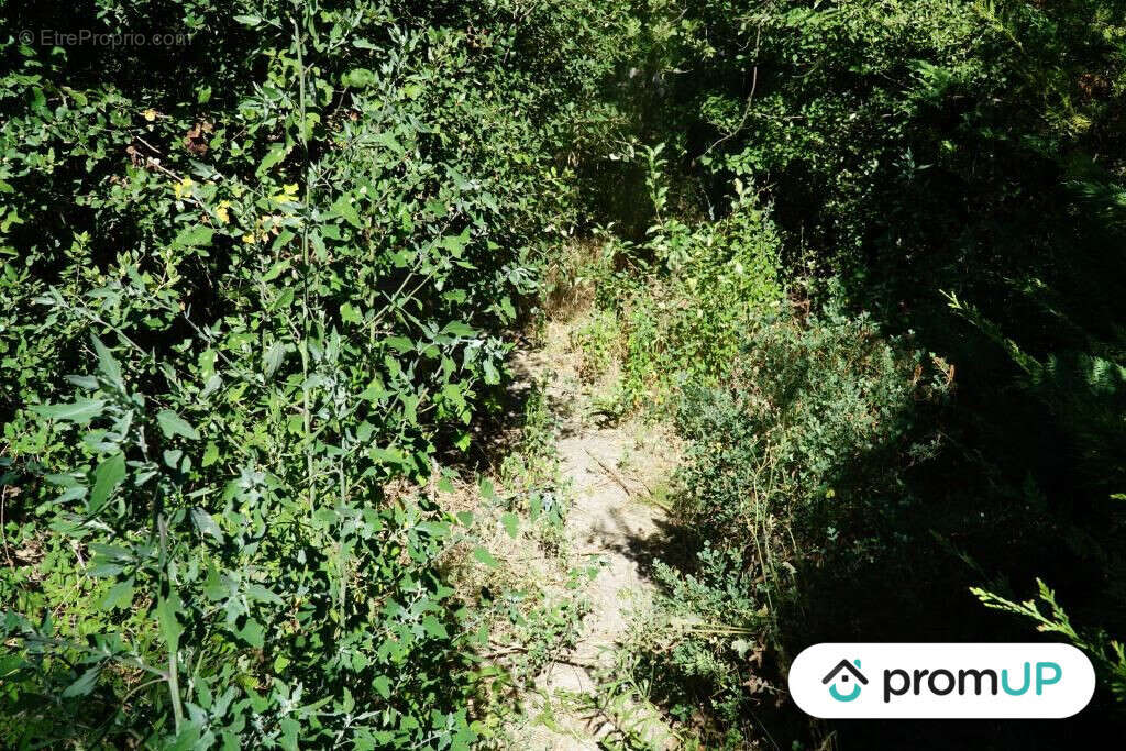 Terrain à LA ROQUE-D&#039;ANTHERON