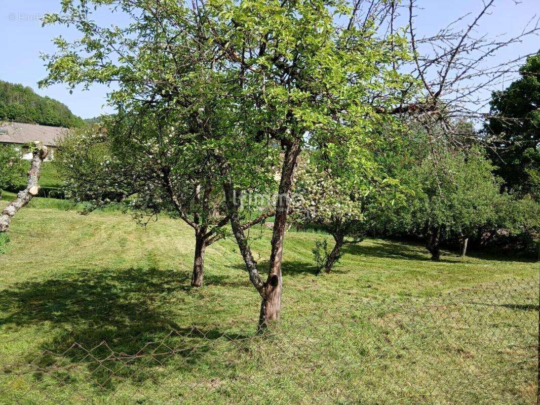 Terrain à bâtir 10ares plein sud à Sickert (68290) - photo 4