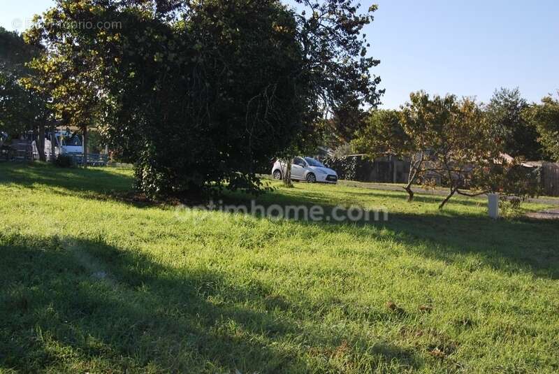 Terrain bien situé à vendre à soyaux - photo 2