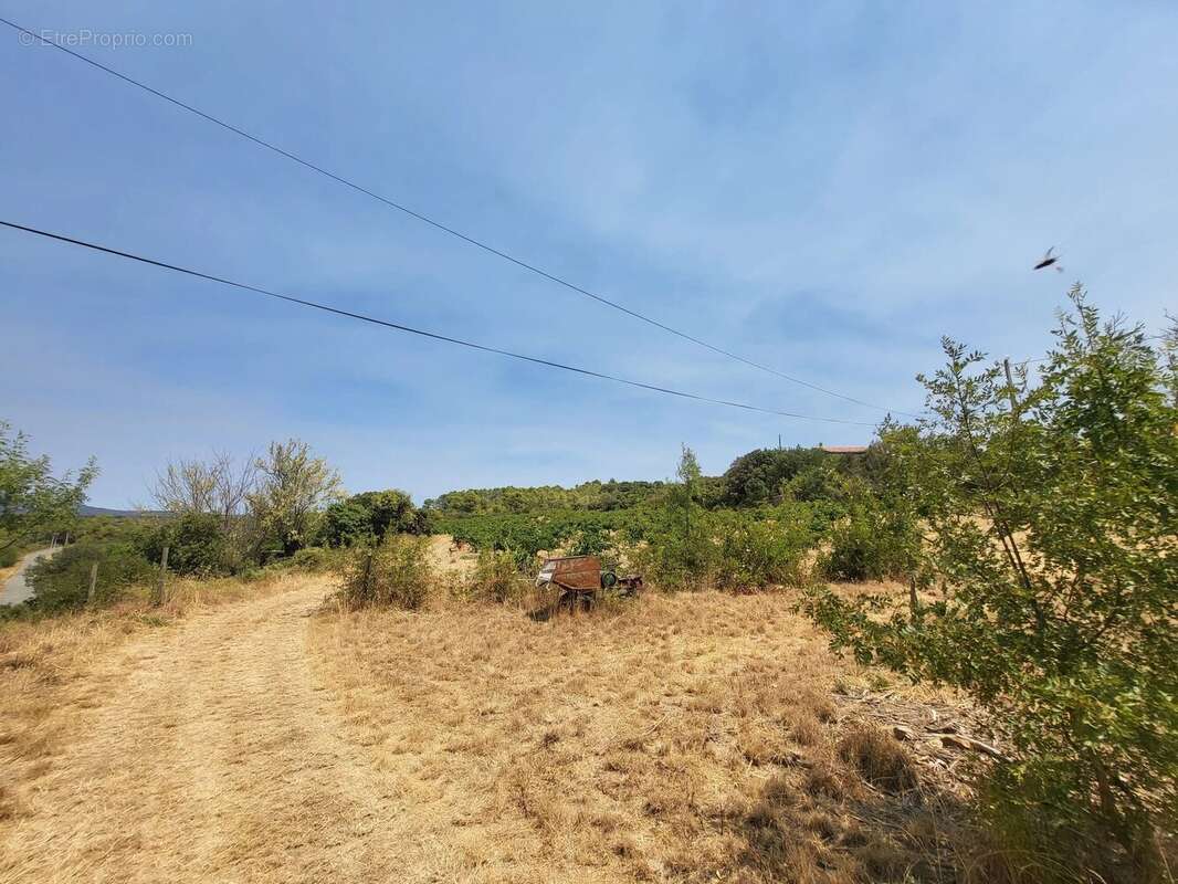 Terrain constructible de 1 071 m² – Vue exceptionnelle – - photo 4