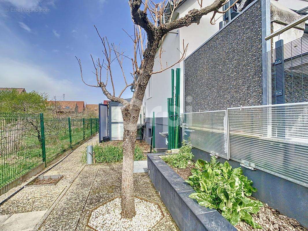 Maison à BATTENHEIM