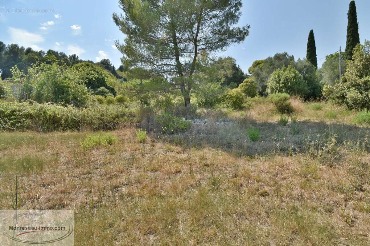 Terrain à MOUGINS