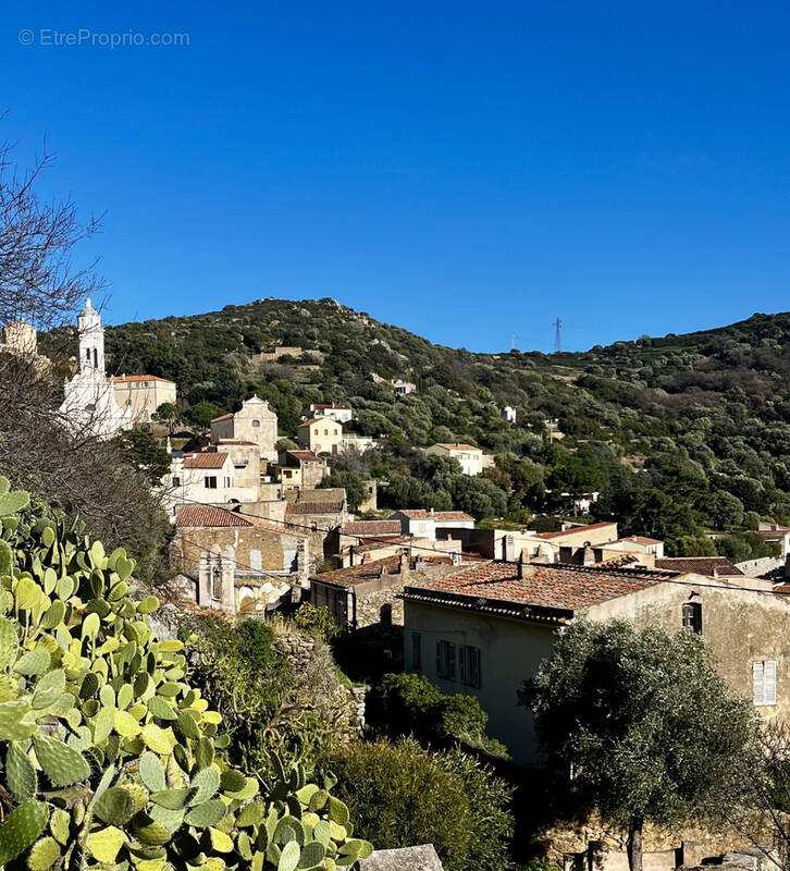 Appartement à CORBARA