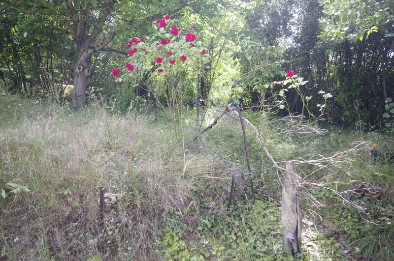 Maison à VIC-FEZENSAC