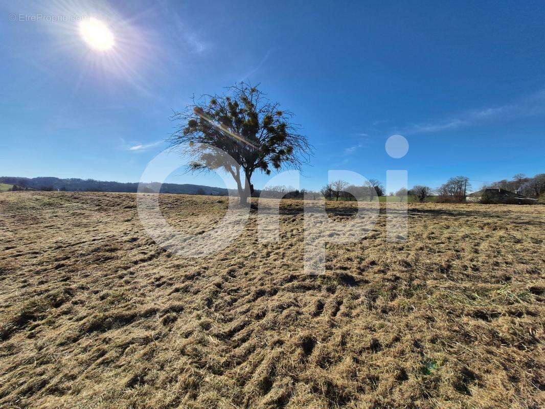 Terrain à PERPEZAC-LE-NOIR