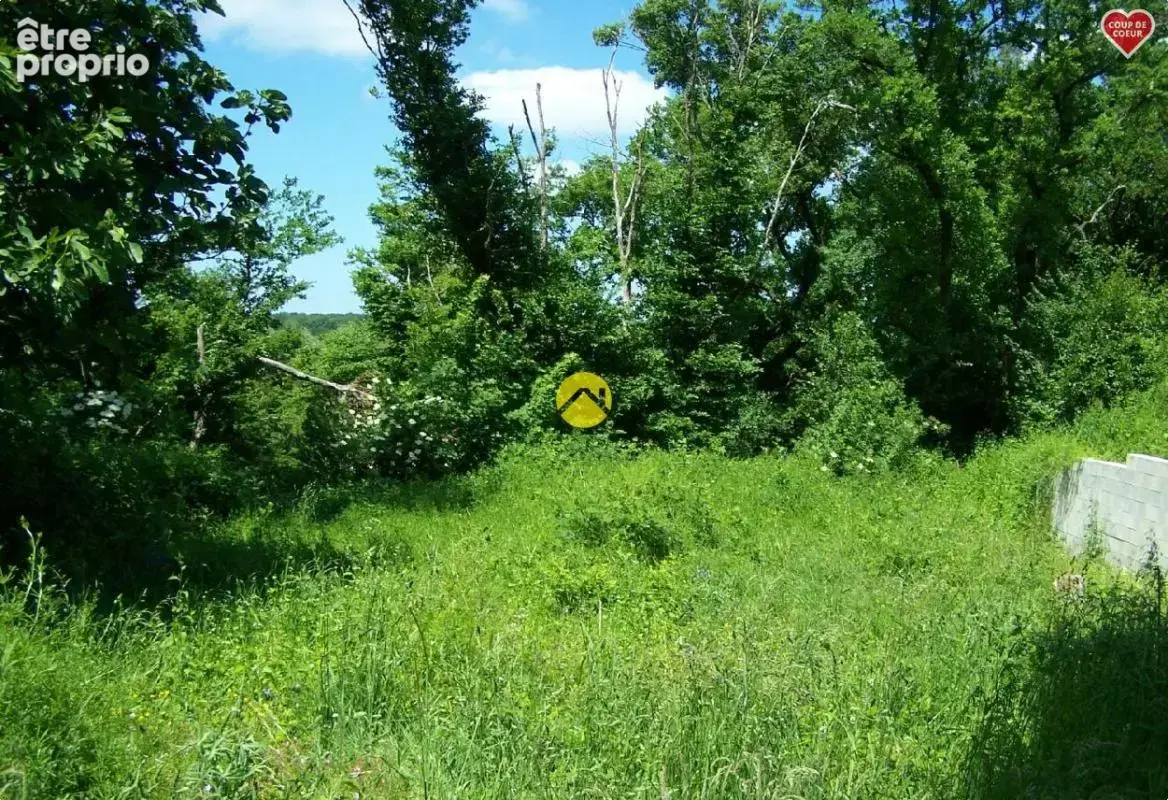 Et au milieu coule la rivière - photo 12