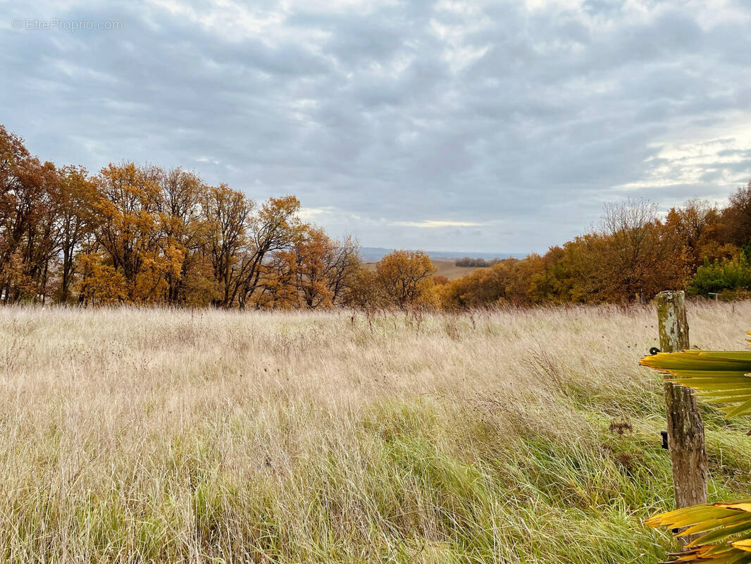 Terrain à LAMOTHE-CUMONT