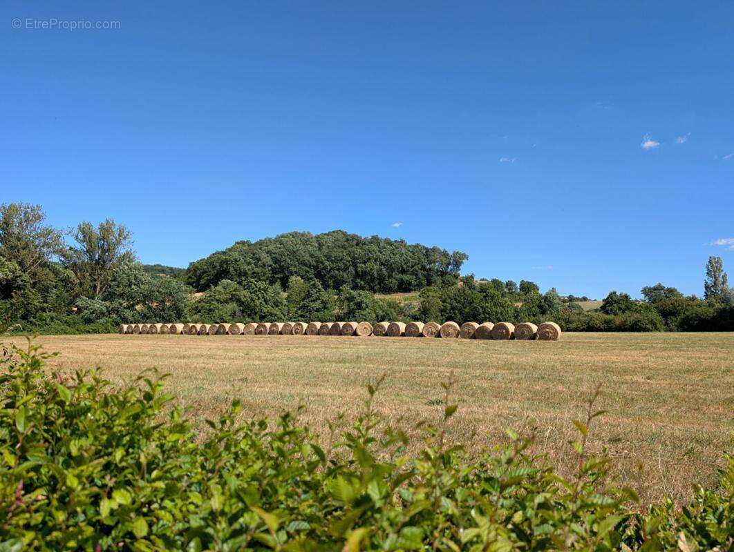 Maison Pouy De Touges 7 pièces 253 m2 avec 14 hectares - photo 16