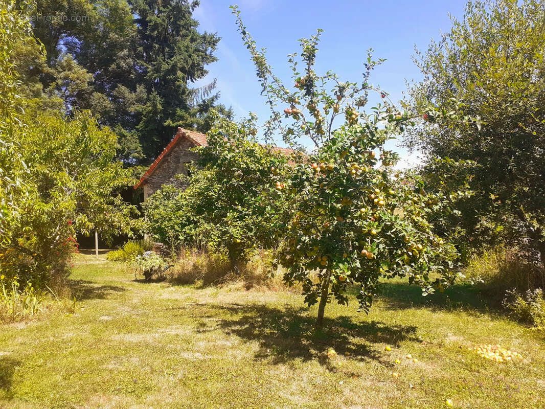 Maison de bourg rénovée avec grand jardin arboré - photo 3