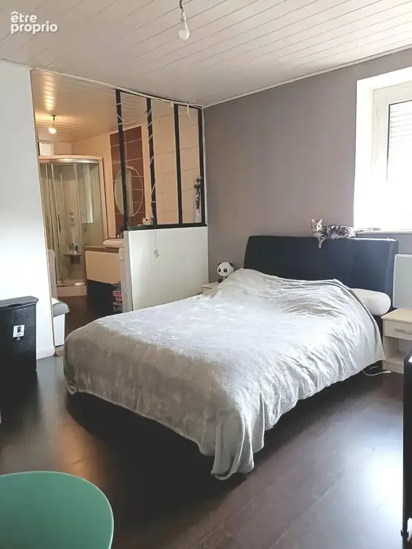 Appartement 3 pièces 86 m² à vendre à Sarrebourg (57400) - photo 2
