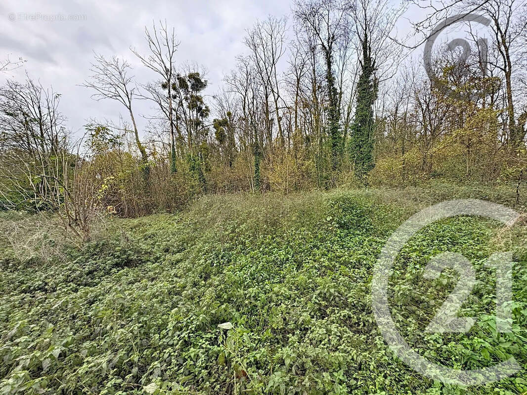 Terrain à CHALAUTRE-LA-PETITE