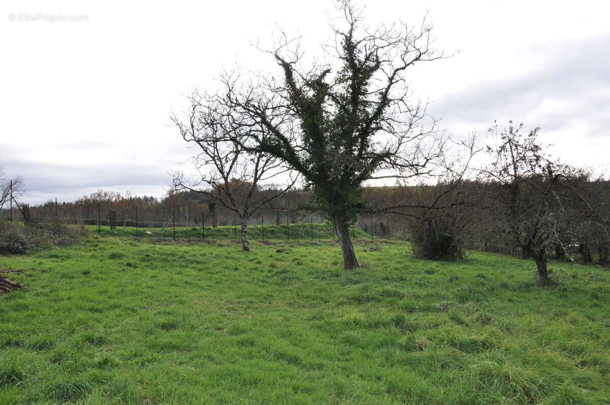 Terrain à SAINT-ETIENNE-DE-VICQ
