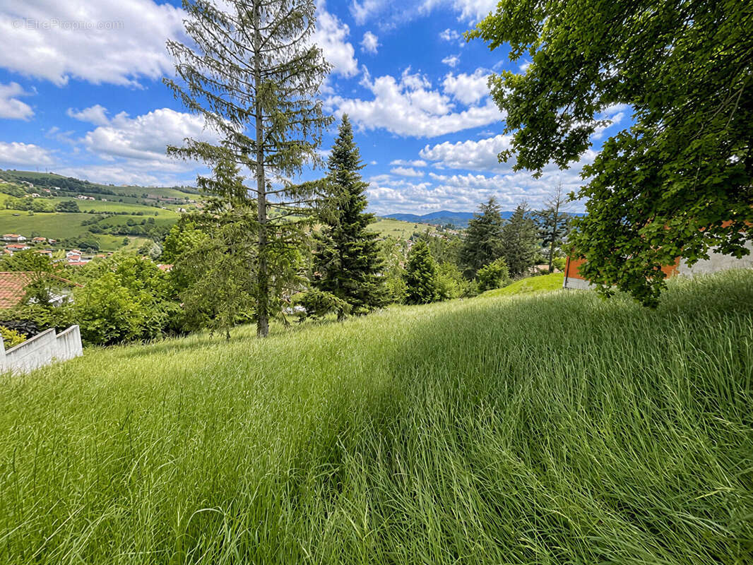 Terrain à SORBIERS