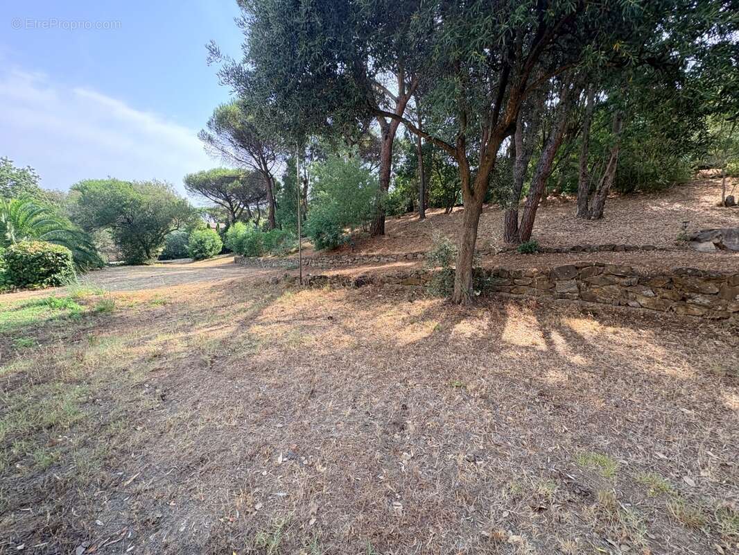 Terrain à vendre de 1 540,00 m² SAINTE MAXIME (83) - photo 2