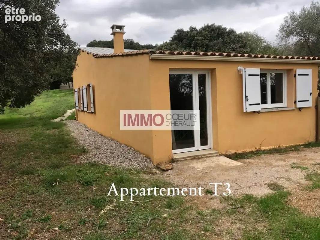 Proche de gignac propriété d'exception  plus d'1 hectare  villa + appartement+ piscine + hangar - photo 20